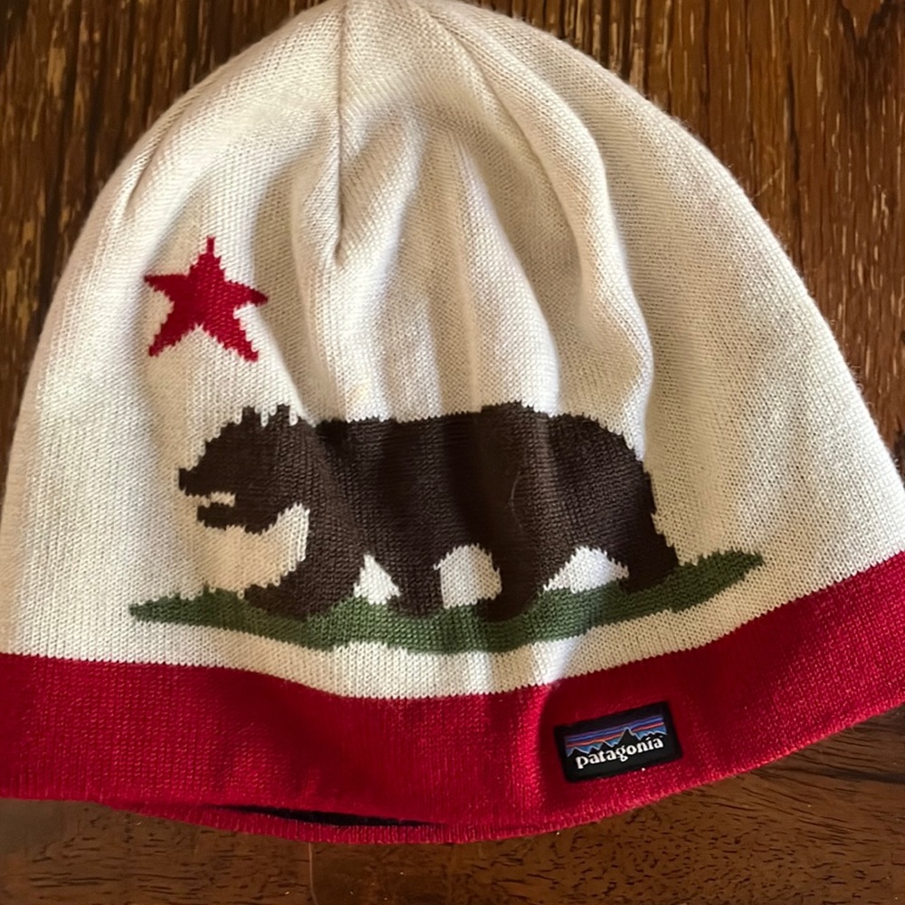 Patagonia winter hat